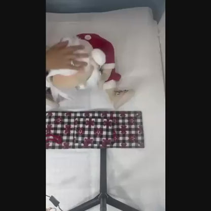 Handcrafted Santa Decoration